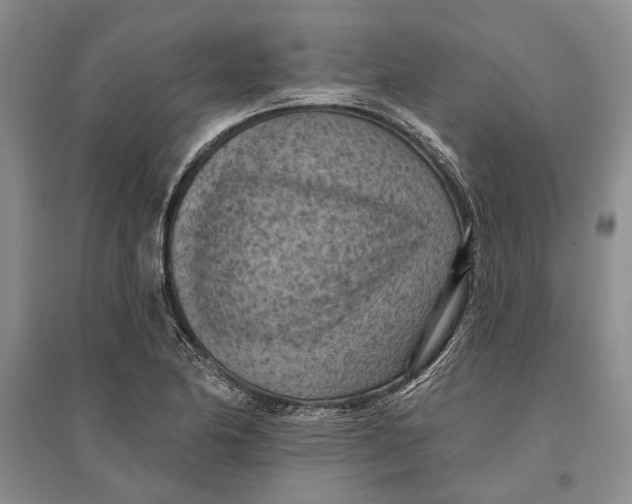 X0000096681174200802261509