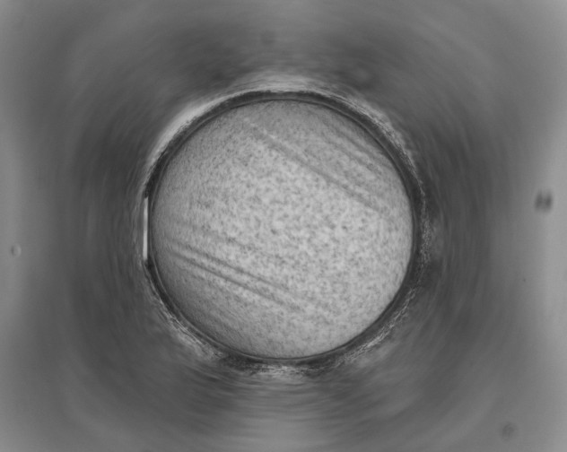 X0000096681175200802261509