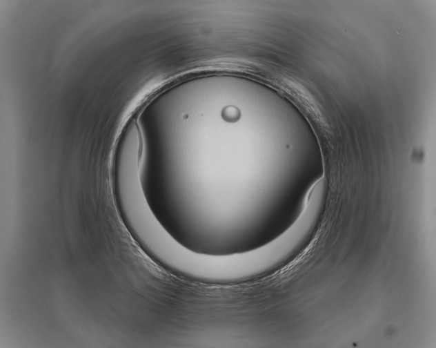 X0000096681180200802261509