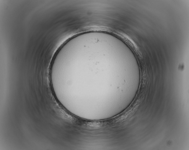 X0000096681182200802261509