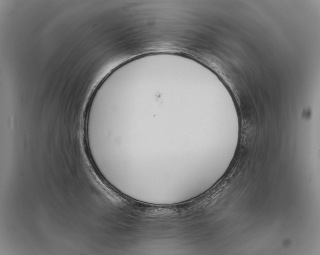 X0000096681187200802261509