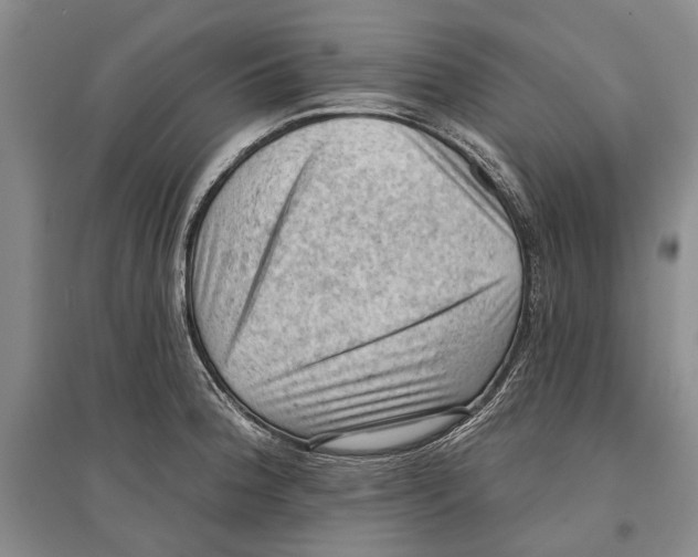 X0000096681188200802261509