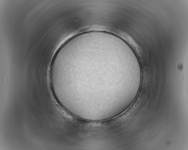 X0000096681190200802261509