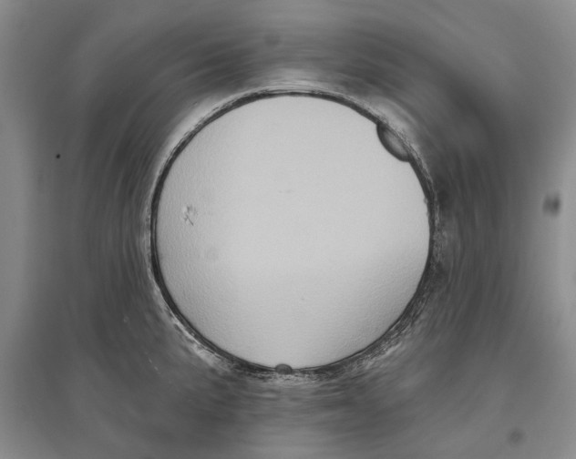 X0000096681191200802261509