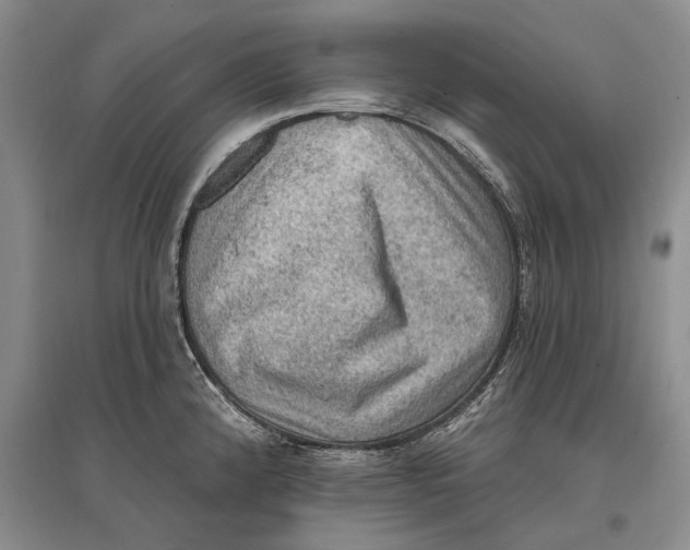 X0000096681192200802261509