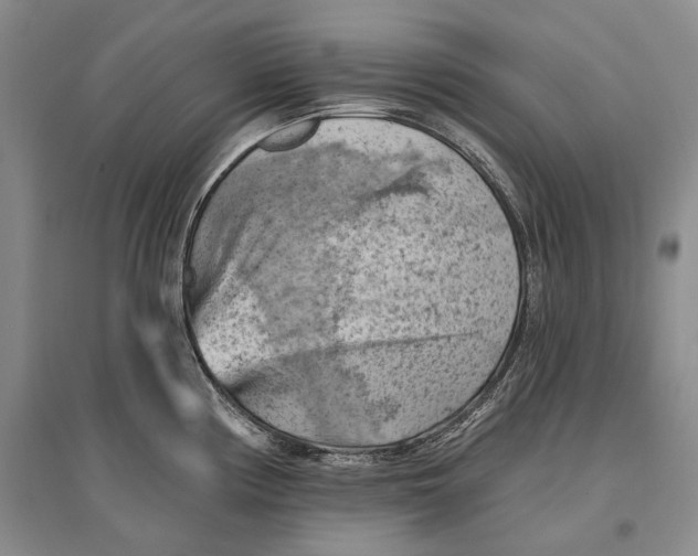 X0000096681194200802261509
