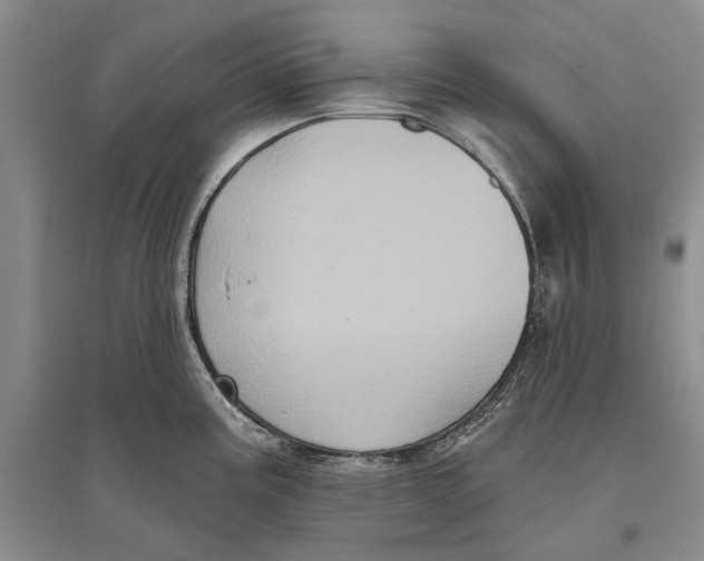 X0000096681195200802261509