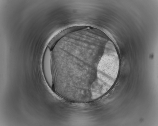 X0000096681197200802261509