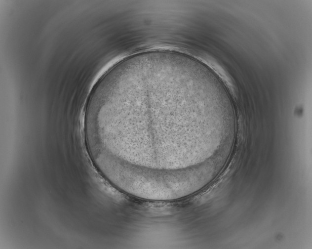 X0000096681198200802261509