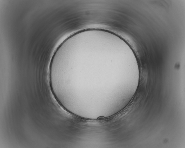 X0000096681199200802261509