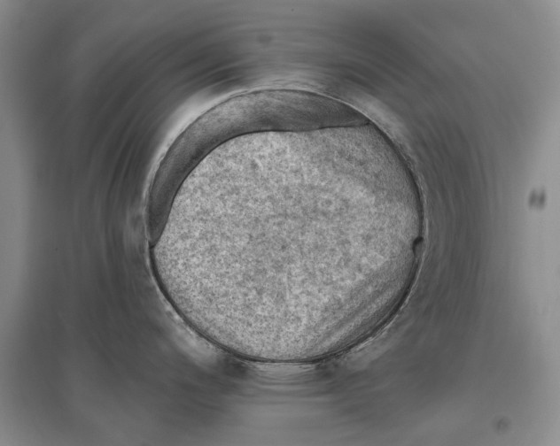 X0000096681200200802261509