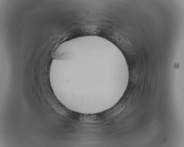 X0000096681201200802261508