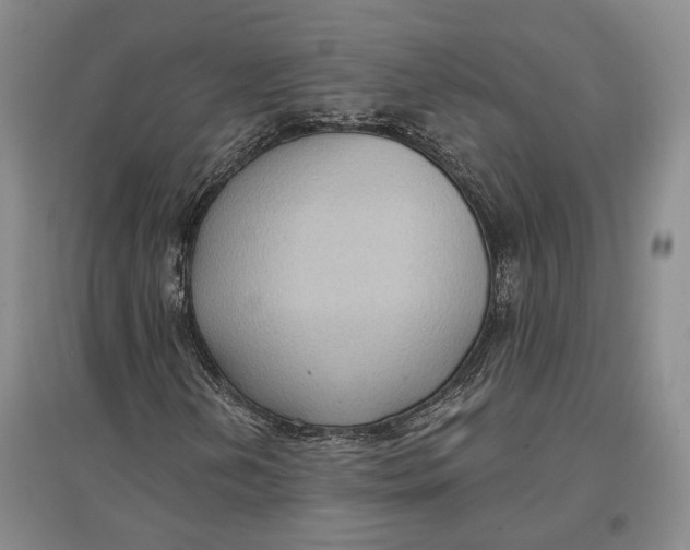 X0000096681202200802261508