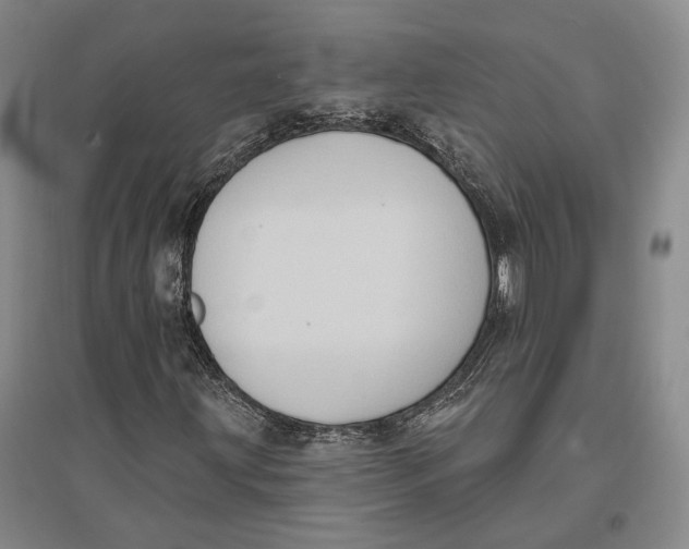 X0000096681203200802261508