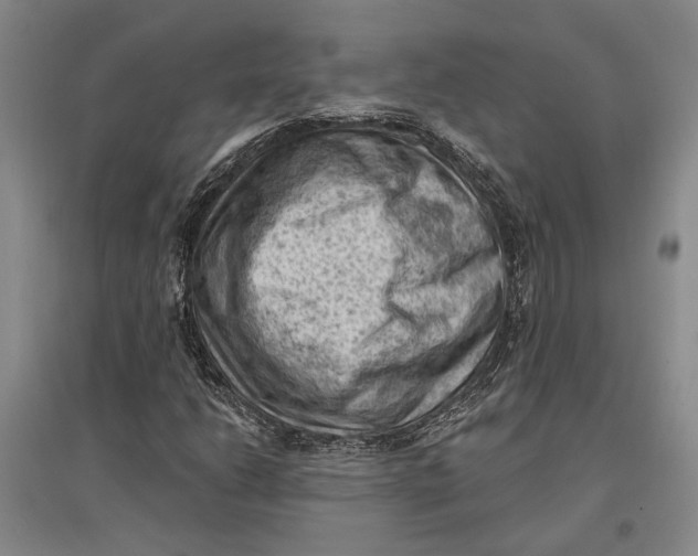 X0000096681206200802261508