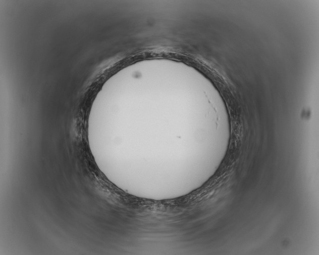 X0000096681207200802261508