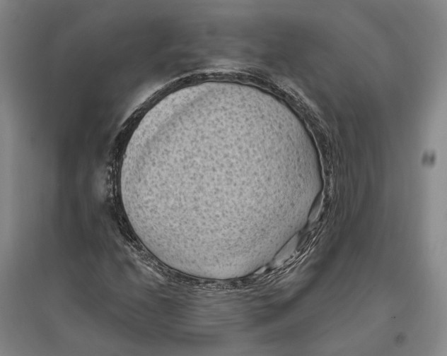 X0000096681208200802261508
