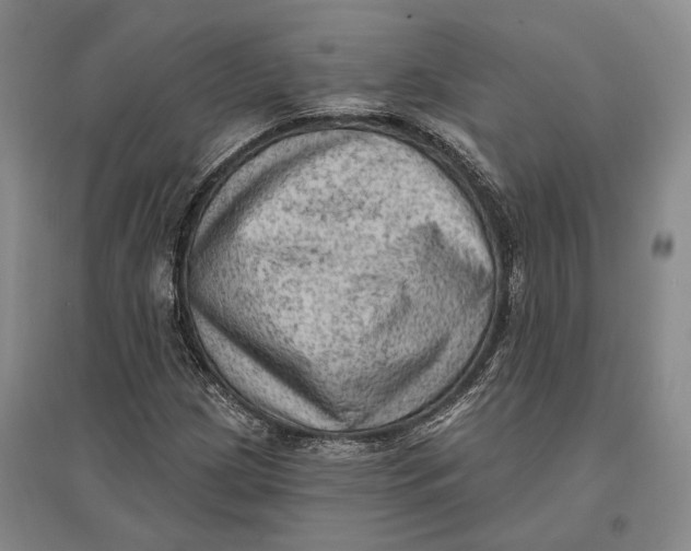 X0000096681209200802261508