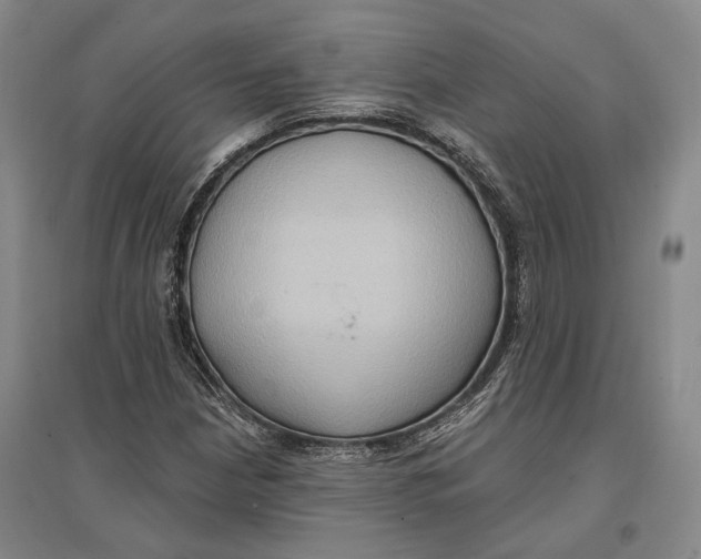 X0000096681210200802261508