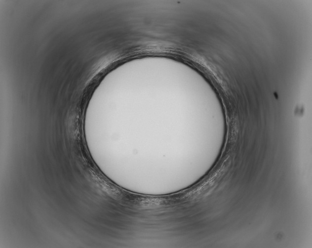 X0000096681211200802261508