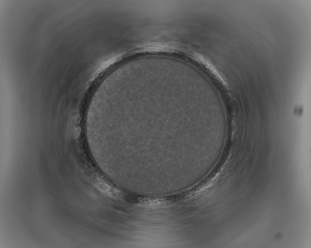 X0000096681213200802261508