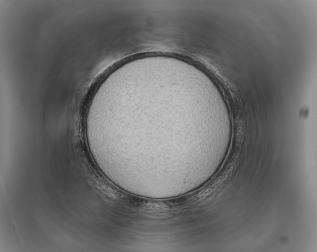 X0000096681215200802261508