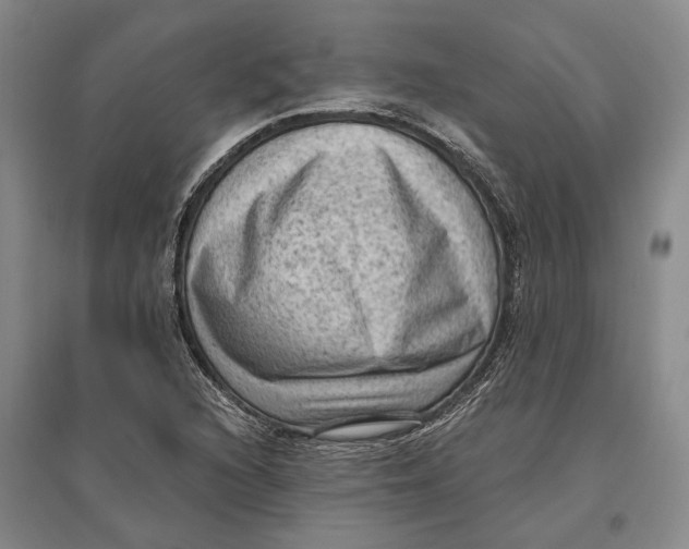 X0000096681216200802261508