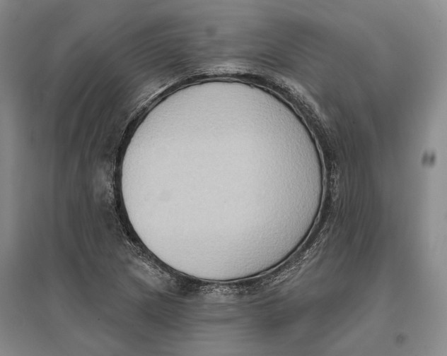 X0000096681217200802261508