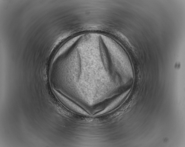 X0000096681218200802261508