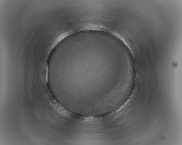 X0000096681219200802261508