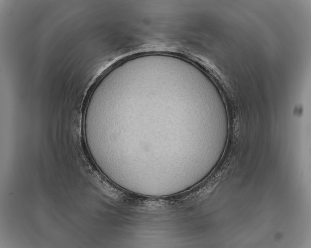 X0000096681220200802261508