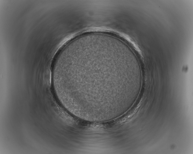 X0000096681221200802261508