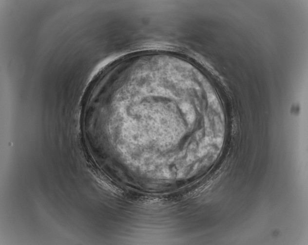 X0000096681222200802261508