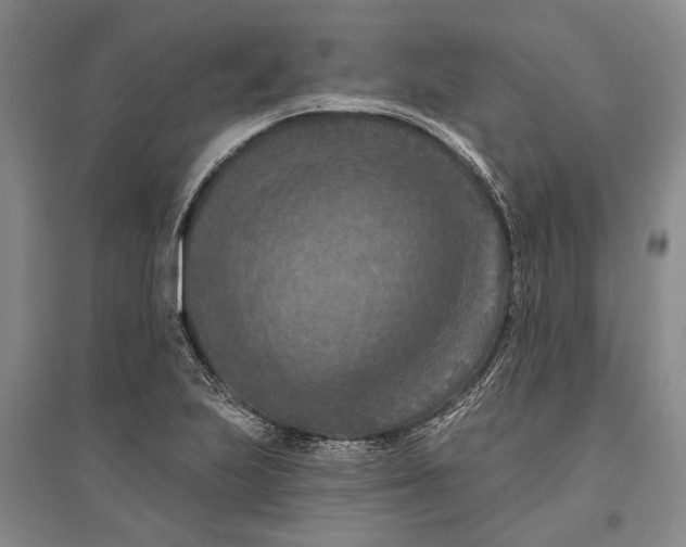 X0000096681223200802261508