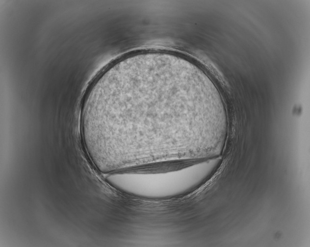 X0000096681224200802261508