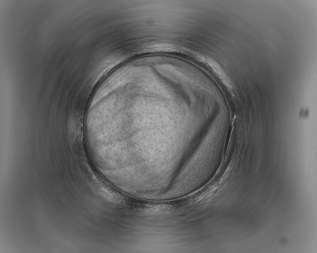 X0000096681225200802261508
