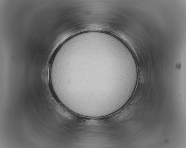X0000096681227200802261508