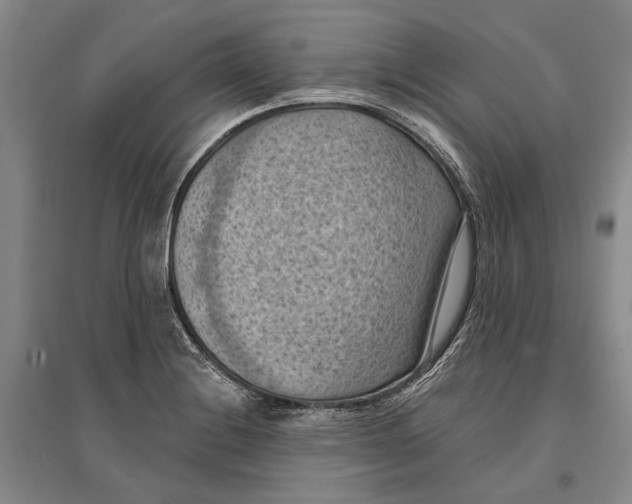 X0000096681228200802261508