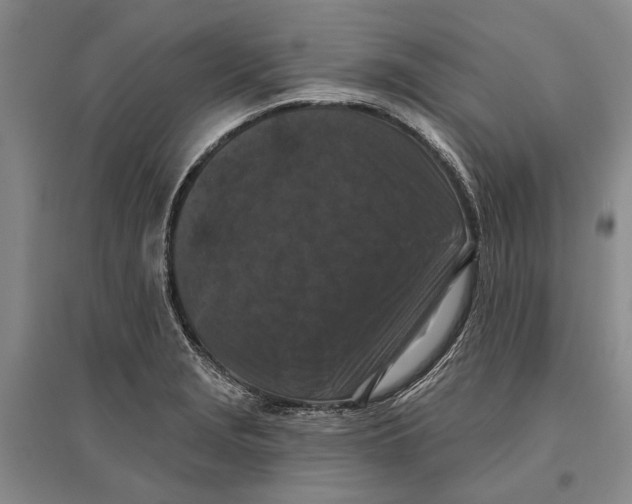 X0000096681229200802261508