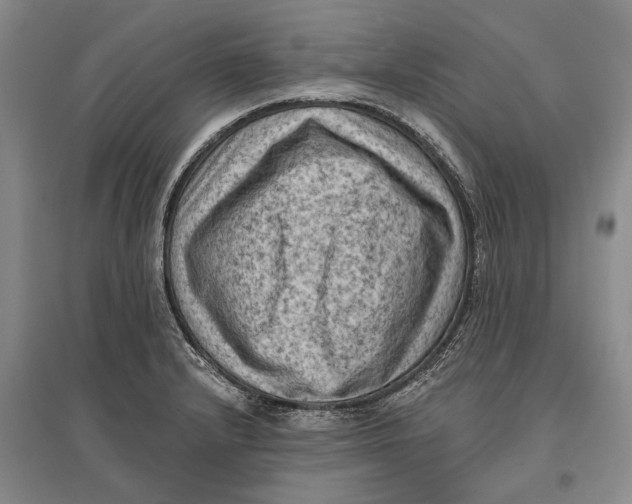 X0000096681232200802261508