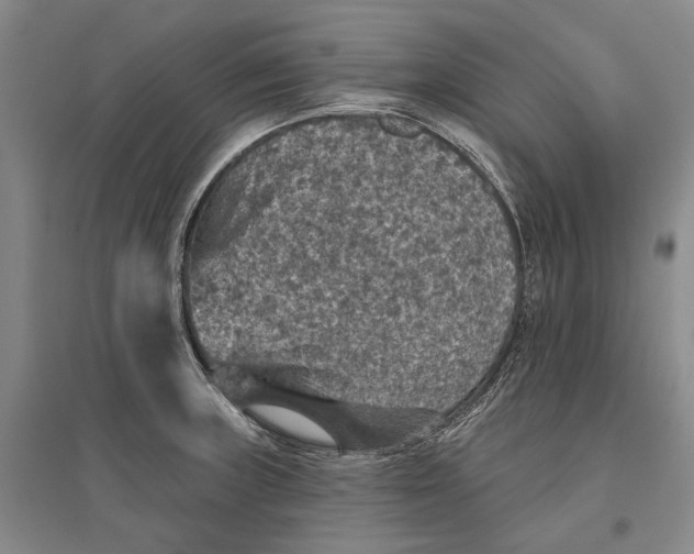 X0000096681235200802261508