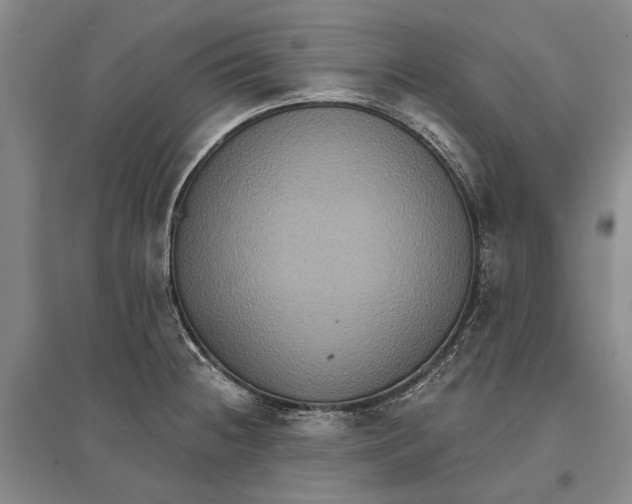 X0000096681236200802261508