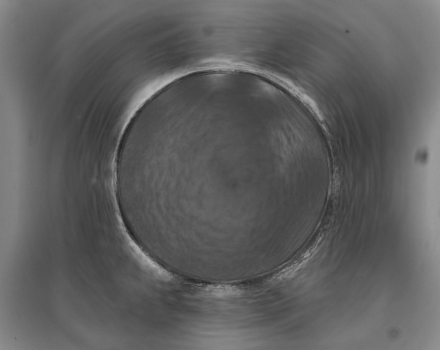 X0000096681239200802261508