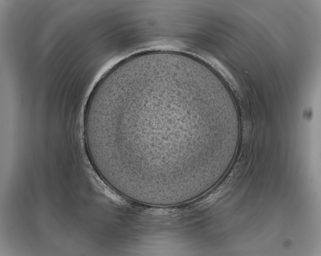 X0000096681240200802261508