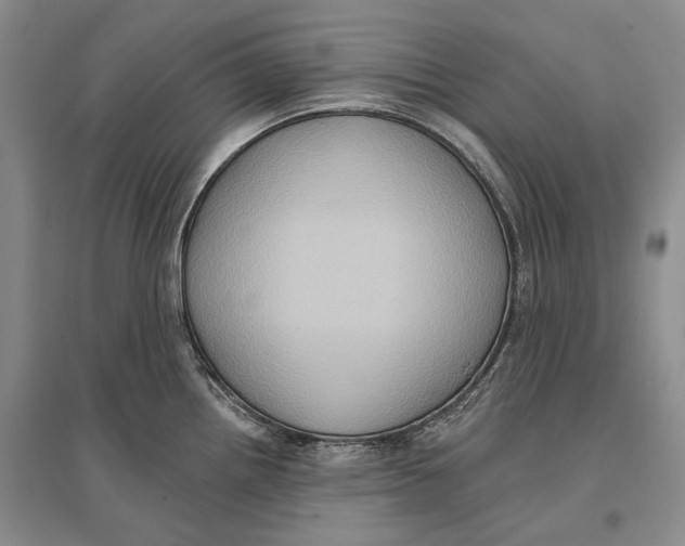 X0000096681242200802261508