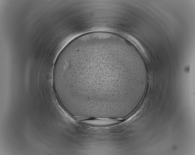 X0000096681244200802261508