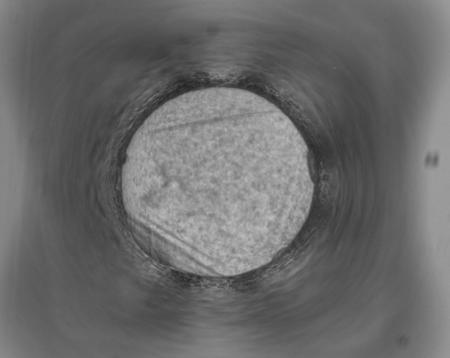 X0000096681249200802261508