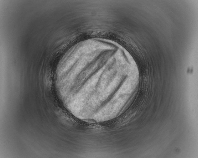 X0000096681250200802261508