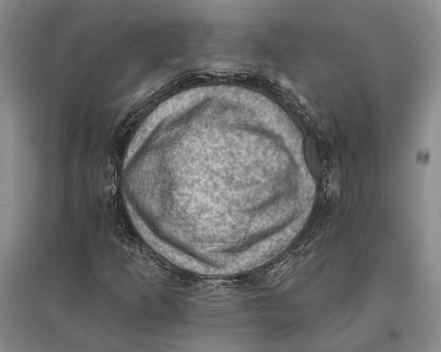 X0000096681253200802261508