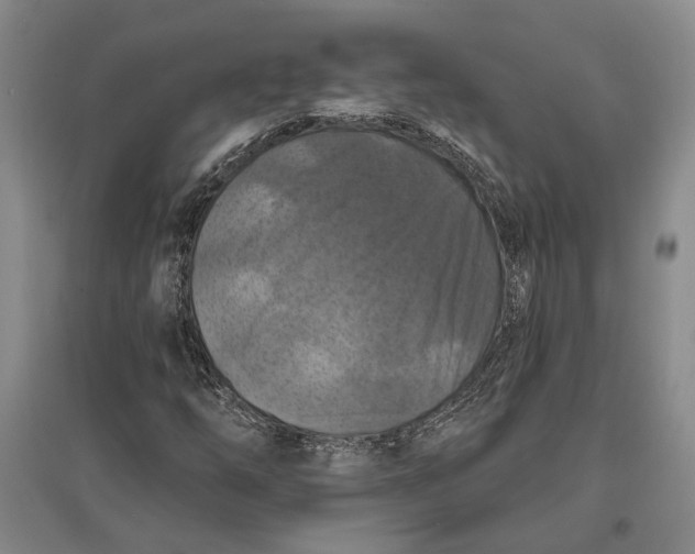 X0000096681254200802261508